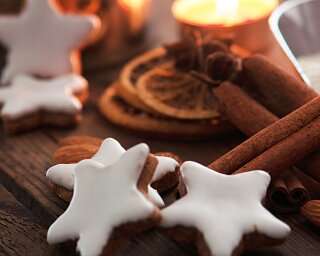 Holidays at Limmathof Baden